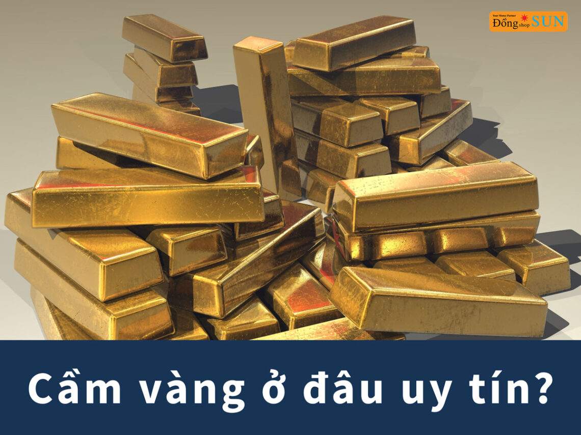 Cầm vàng ở đâu?